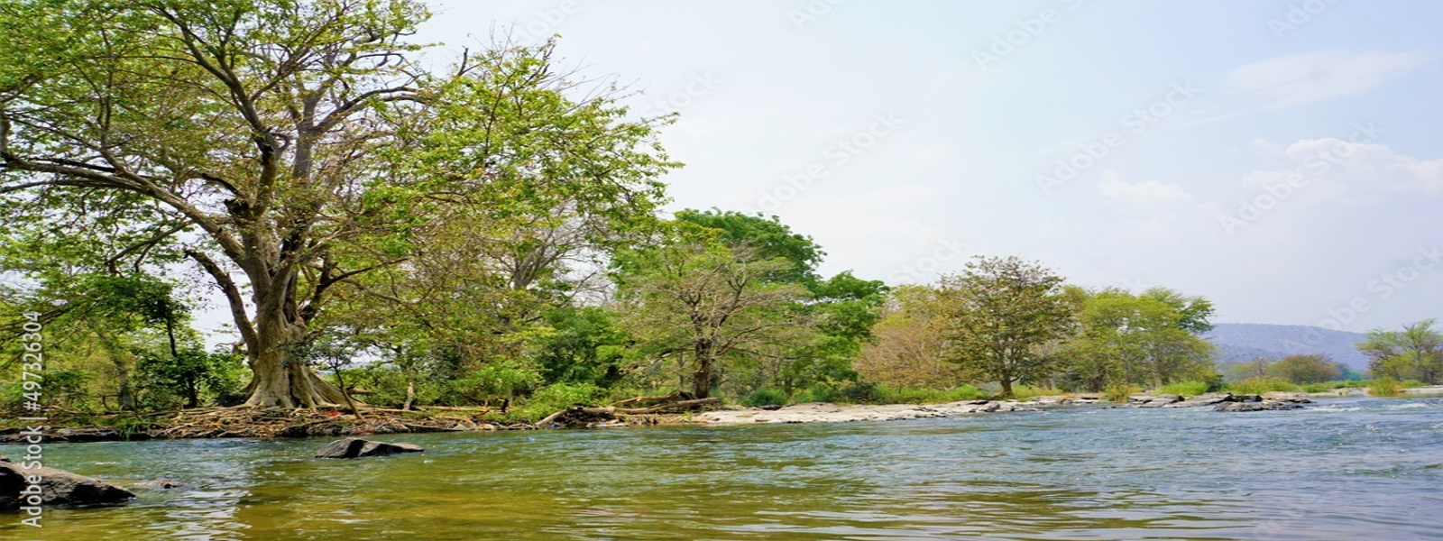 Hogenakkal Travel Services