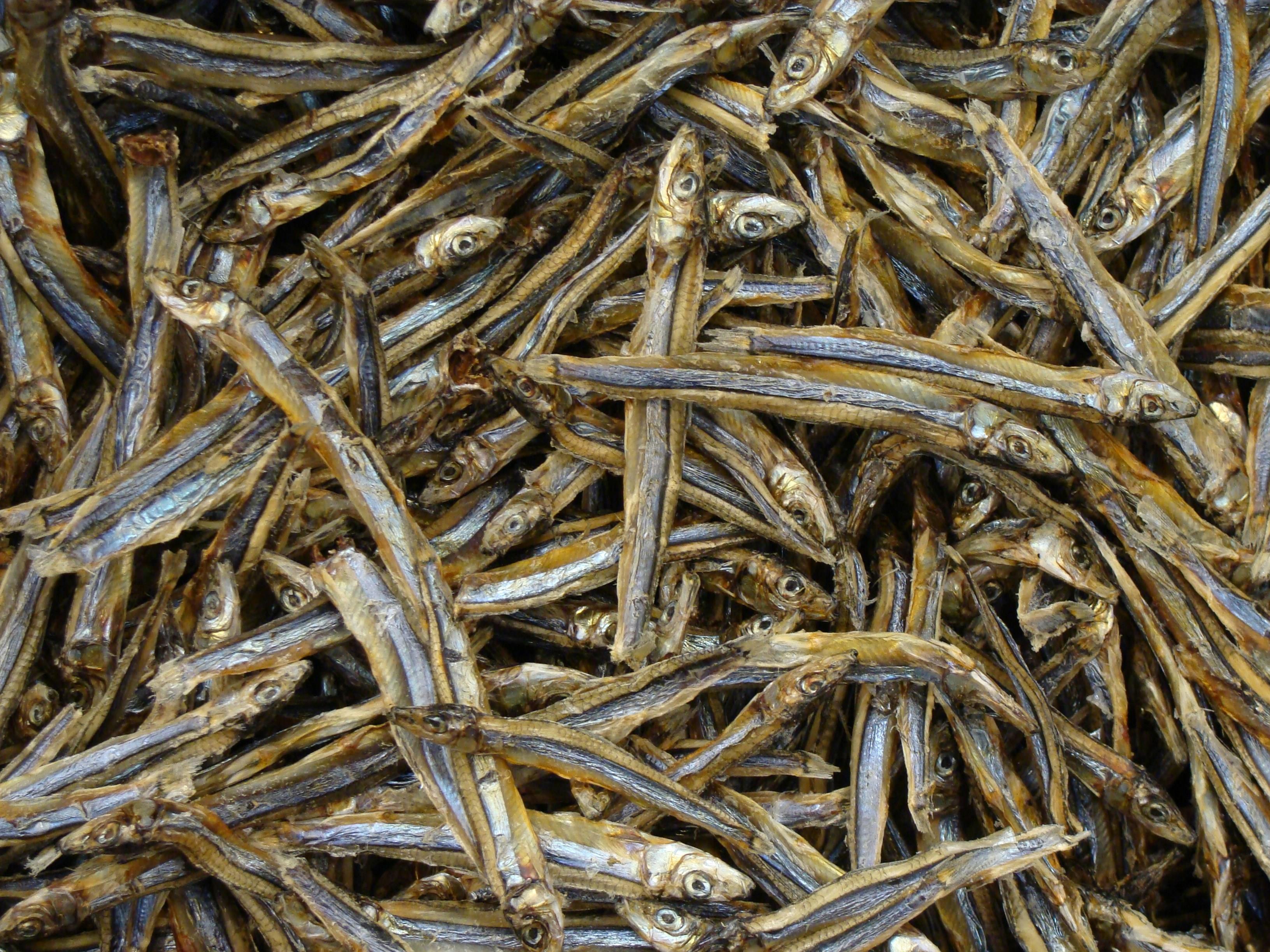 Dry Fish